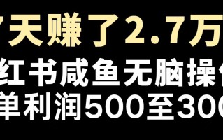 最赚钱项目之一，2025爆火，逆风翻盘！