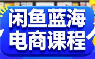 闲鱼蓝海电商课程，手把手助你快速上手，轻松实现闲鱼稳定盈利