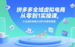 拼多多全域虚拟电商从零到1实操课，小白虚拟电商从0到1实操到精通