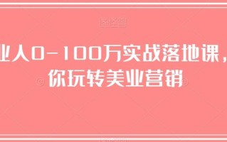 美业人0-100万实战落地课，教你玩转美业营销