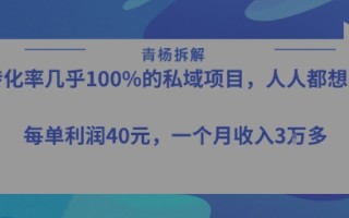转化率最高的私域项目，每单利润40-50米，月入过1w