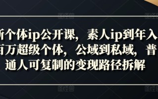 新个体ip公开课，素人ip到年入百万超级个体，公域到私域，普通人可复制的变现路径拆解
