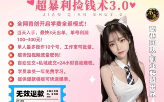 单人短视频年赚60w野路子玩法大揭秘，短视频搭子交友超暴利捡钱术3.0