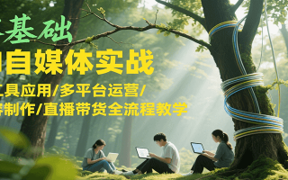 零基础AI自媒体实战，AI工具应用/多平台运营/内容制作/直播带货全流程教学