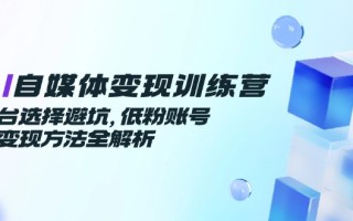 AI自媒体变现训练营，平台选择避坑，低粉账号高变现方法全解析