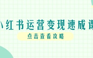小红书运营变现速成课，账号搭建到暴力起号，个人IP全流程指南