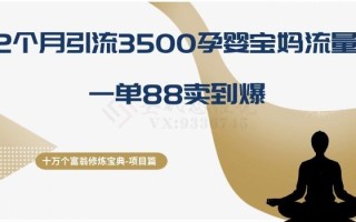 十万个富翁修炼宝典之13.2个月引流3500孕婴宝妈流量，一单88卖到爆