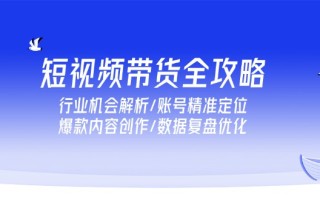 短视频带货全攻略，行业机会解析/账号精准定位/爆款内容创作/数据复盘优化