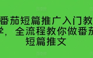 番茄短篇推广入门教学，全流程教你做番茄短篇推文