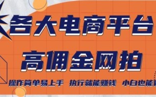 各大电商平台高佣金网拍，操作简单易上手，执行就能赚钱，小白也能做