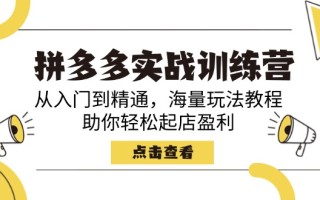 拼多多实战训练营，从入门到精通，海量玩法教程，助你轻松起店盈利