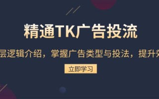精通TK广告投流：底层逻辑介绍，掌握广告类型与投法，提升效果