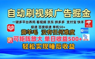 多平台 自动看视频 广告掘金，当天变现，收益300+，可矩阵放大操作