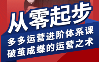 海神·拼多多运营进阶系统课(更新9月)