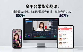 多平台带货实战课18.0：抖音算法/小红书笔记/视频号直播，单账号月GMV50w+