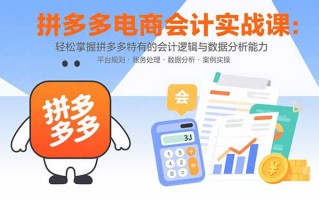 拼多多电商会计实战课：轻松掌握拼多多特有的会计逻辑与数据分析能力