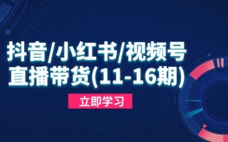 抖音/小红书/视频号/直播带货(11-16期