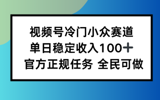 视频号小众赛道，单日稳定收入100+，适合所有人