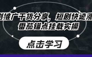 短剧推广干货分享，短剧快速涨粉及番茄锚点挂载实操