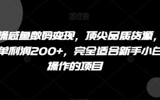 实操咸鱼数码变现，顶尖品质货源，一单利润200+，完全适合新手小白操作的项目【揭秘】