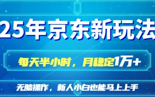 25京东新玩法，每天半小时，月稳定1W+