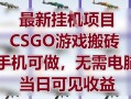 最新挂G项目，CSGO游戏搬砖，手机可做，无需电脑，当日见收益【揭秘】