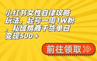 小红书女性自律攻略玩法，起号一周1W粉，私域情商干货单日变现500＋