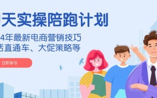 淘天实操陪跑计划，2024年最新电商营销技巧，包括直通车、大促策略等