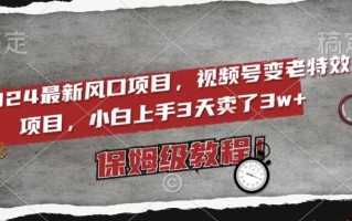 2024最新风口项目，视频号变老特效项目，电脑小白上手3天卖了3w+，保姆级教程【揭秘】