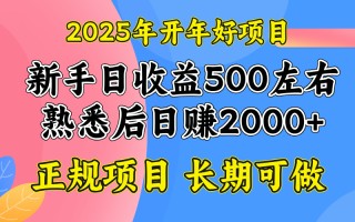 2025开年好项目，单号日收益2000左右