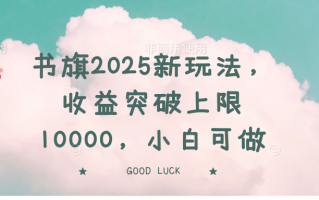 书旗2025新玩法，收益突破上限10000，小白可做