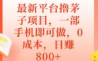 最新平台撸茅子项目，一部手机即可做，0成本，日赚800+