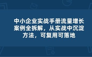中小 企业 实操手册-流量增长案例拆解，从实操中沉淀方法，可复用可落地