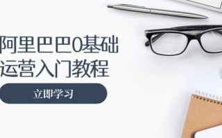 阿里巴巴运营零基础入门教程：涵盖开店、运营、推广，快速成为电商高手