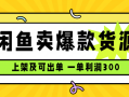 闲鱼卖爆款货源，每天利润1000，上架即出单