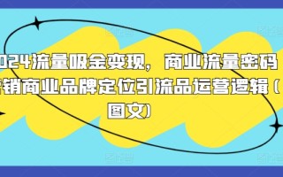2024流量吸金变现，商业流量密码营销商业品牌定位引流品运营逻辑(图文)