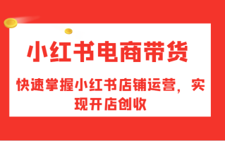 小红书电商带货，快速掌握小红书店铺运营，实现开店创收