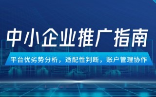中小企业竞价推广指南，平台优劣势分析，适配性判断，账户管理协作