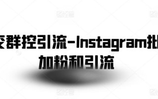 社交群控引流-Instagram批量加粉和引流
