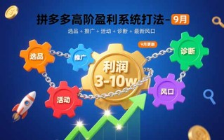 拼多多高阶盈利系统打法-9月：选品+推广+活动+诊断+最新风口，月利润3-10w
