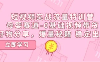 短视频实战流量特训营，母婴赛道-0基础带货，好物分享，爆量秘籍 稳定出单