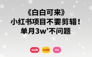 小白可来 小红书项目不需要剪辑 单月3w不是问题