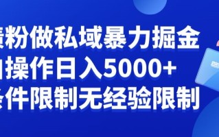 负债粉私域暴力掘金，小白操作入5000，无经验限制，无条件限制【揭秘】