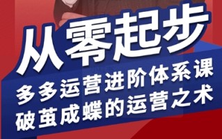 拼多多运营进阶系统课，从零起步，多多运营进阶体系课，破茧成蝶的运营之术