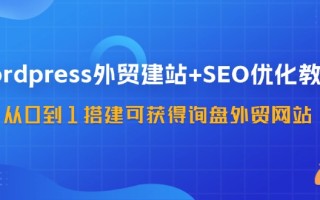 WordPress外贸建站+SEO优化教程，从0到1搭建可获得询盘外贸网站(57节课)
