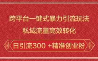 跨平台一键式暴力引流玩法，私域流量高效转化日引流300 +精准创业粉