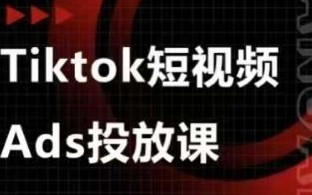Ads视频投放课，tiktok短视频广告投放课