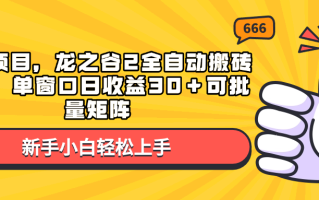 蓝海项目，龙之谷2全自动搬砖游戏，单窗口日收益30＋可批量矩阵