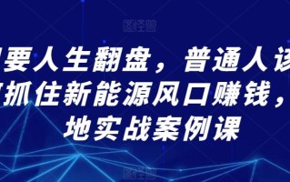 想要人生翻盘，普通人该如何抓住新能源风口赚钱，落地实战案例课