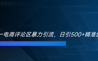 双十一电商评论区暴力引流，日引500+精准创业粉【揭秘】